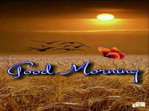 Good Morning Status | Good Morning Status Video | Good Morning Whatsapp Status Video thumbnail