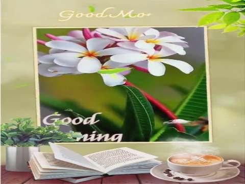 Good Morning Shayari Status | Good Morning Status | Good Morning Status Video | Good Morning Whatsapp Status Video thumbnail