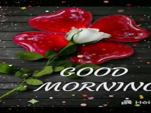 Ji Na Lge Bin Tere yaara | Good Morning Status | Good Morning Status Video | Good Morning Whatsapp Status Video thumbnail