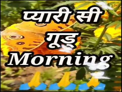 Wada Hai Wada  | Good Morning Status | Good Morning Status Video | Good Morning Whatsapp Status Video thumbnail