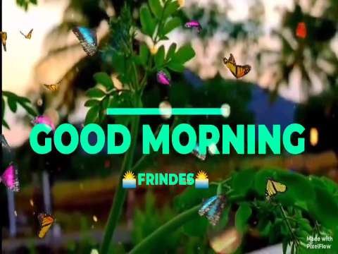 Good Morning Wishes | Have A Sweet Day Status | Good Morning Whatsapp Status Video thumbnail