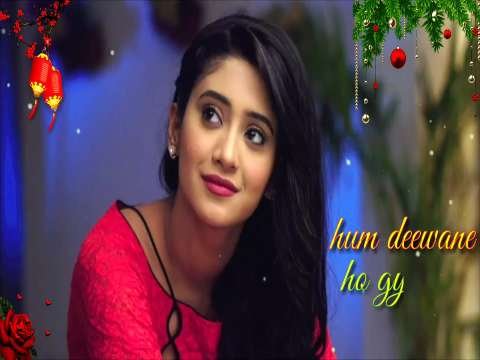 Tu Mera He Sanam | Love Whatsapp Video Status Song | Love Status Video | Love Lyrical Status Video | Cute Love Status