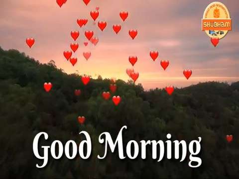 Good Morning Status | Good Morning Status Video | Good Morning Whatsapp Status Video | Teri Meri Prem Kahani thumbnail