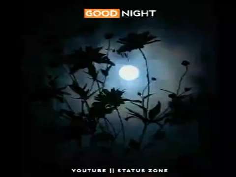 Good Night Whatsapp status | New Whatsapp status | Trending Status | Good Night to all | Good Night Status Video | Mere Sapno Ki Rani Kab Aayegi Tu