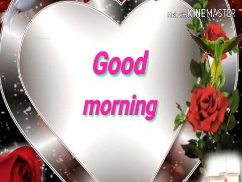 Good morning whatsapp status | good morning status video | whatsapp status video thumbnail