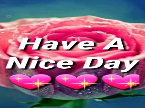 Good Morning Status | Good Morning Status Video | Good Morning Whatsapp Status Video thumbnail