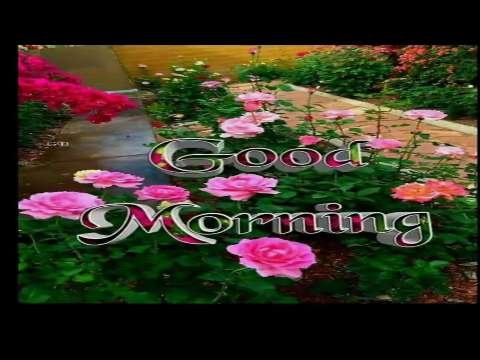 Good Morning Status | Good Morning Status Video | Good Morning Whatsapp Status Video thumbnail