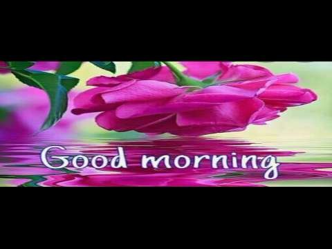 Good Morning Status | Good Morning Status Video | Good Morning Whatsapp Status Video thumbnail