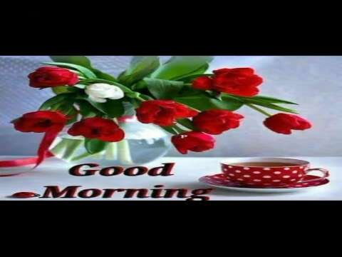 Good Morning Status | Good Morning Status Video | Good Morning Whatsapp Status Video thumbnail
