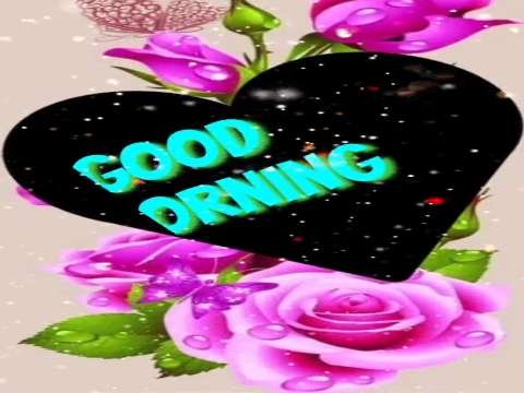 Good Morning Status | Good Morning Status Video | Good Morning Whatsapp Status Video thumbnail