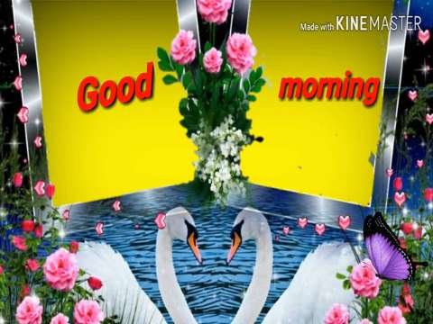 good morning | My love Letters Whatsapp status | Whatapp Status | love Whatsapp statu video | Good Morning Status Video | Jag Bhul Jaye