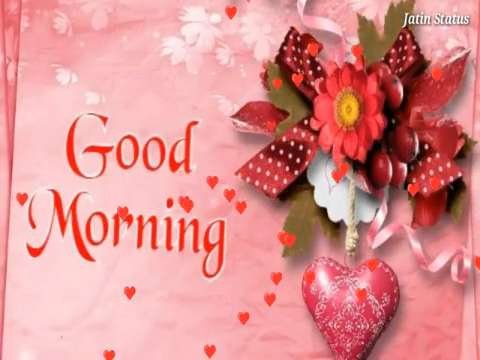 Good morning video | Good morning song |  Good morning | Good Morning status
