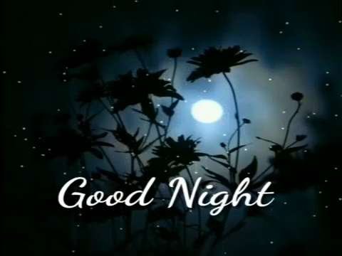 good night status | good night whatsapp status | love good night status | good night status 2020