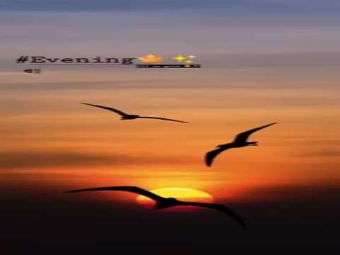 Good Night Status | Good Night Remix Status | good night whatsapp status | good morning status