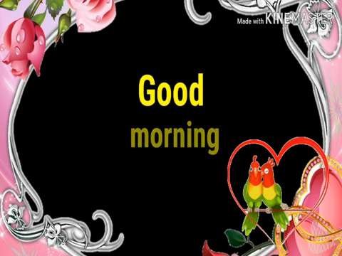 Good morning status | Good morning song | Good morning whatsapp status video