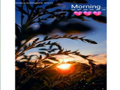 good morning status | good morning whatsapp status | loved morning status | morning status 2020 | Maula Maula