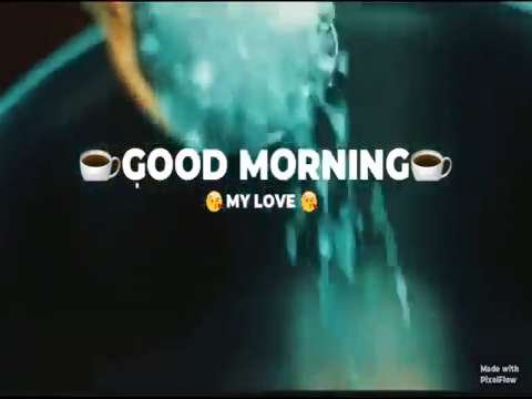 Good morning whatsapp status | good morning status | tea lover whatsapp status | good night status
