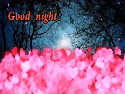 Good Night video status | good night whatsapp status download | good night lovely status