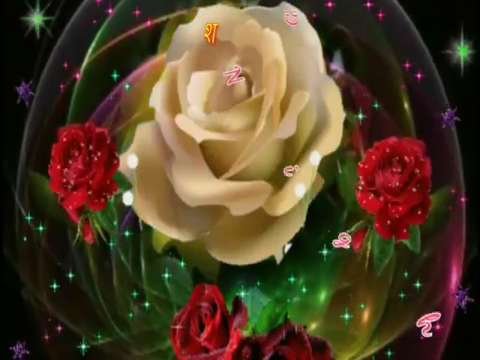 Good Night video status | good night whatsapp status download | good night lovely status