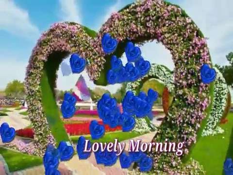 GOOD MORNING video thankx for beautiful good morning