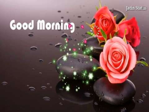 Good morning video | Good morning song | Good morning | Good Morning status | Good Morning Whatsapp thumbnail