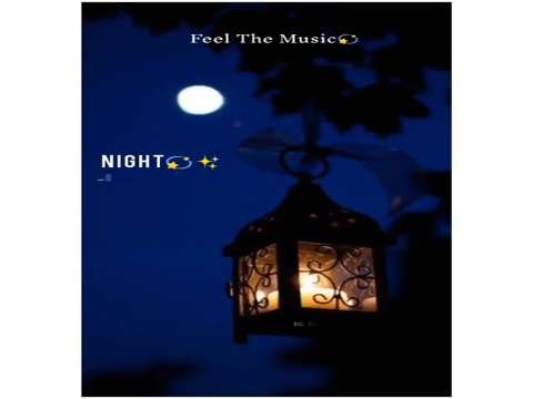 Good Night Status | Good Night Remix Status | good night whatsapp status | good morning status