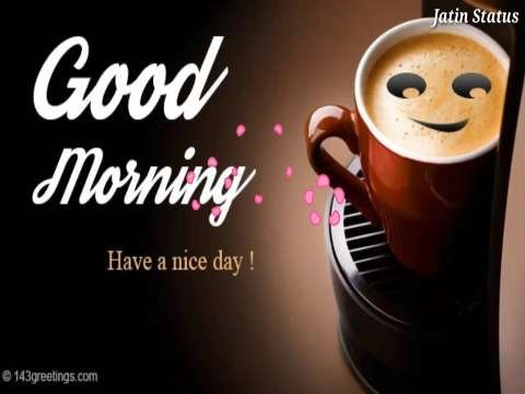 Good morning whatsapp status | special morning status | good morning status | tea lover whatsapp sta