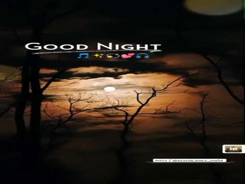 Good Night Status | Good Night Remix Status | good night whatsapp status | good morning status