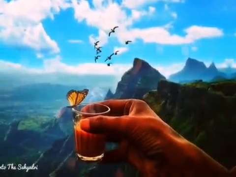 Good morning whatsapp status | good morning status | tea lover whatsapp status | good night status
