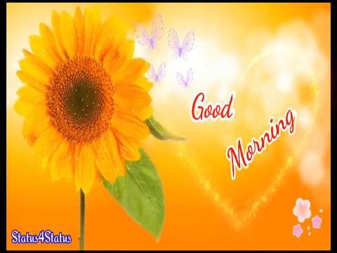 Radha Krishna cute morning status | Radha krishna whatsapp status| good morning wishes status