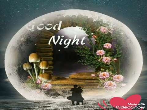 good night status | good night whatsapp status | love good night status | good night status 2020