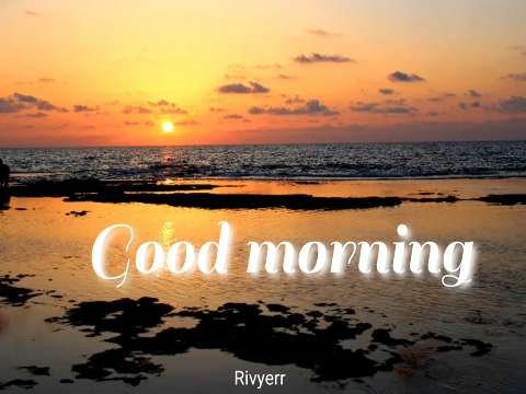 Good Morning Status 2020 | Good Morning Wishes | Good Morning Video | Whatsapp Status Video gif