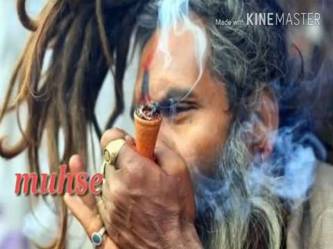 Best lord shiva whatsapp status | Bhole Baba song | Mahadev ke pujari Whatsapp Status Song | Mahadev Status Video | New Whatsapp Mahadev Status Video