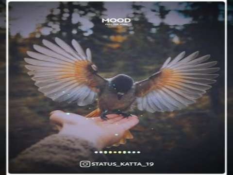 Feel The Music WhatsApp Status | Good Night status | Love Song Status | New status | Alone Status
