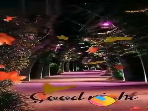 Good Night Status | Good Night Remix Status | good night whatsapp status | good morning status