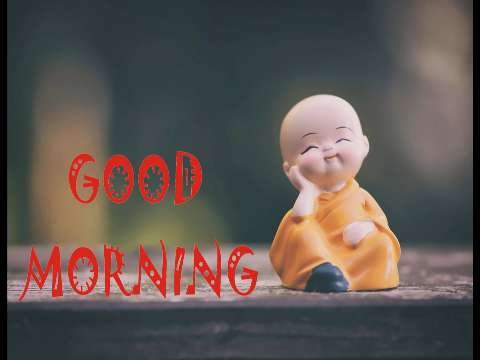 Good Morning Status Video | Good Morning Status | Whatsapp Good morning Status