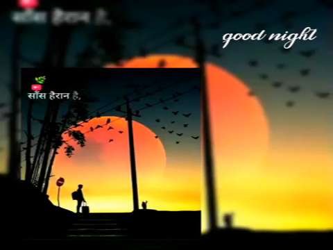 Good Night Status | Good Night Remix Status | good night whatsapp status | good morning status