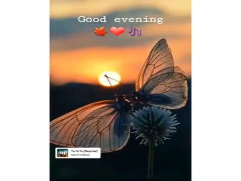 Feel The Music WhatsApp Status | Good Night status | Love Song Status | New status | Alone Status
