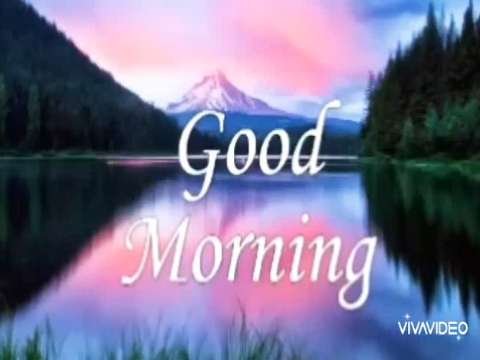 Good morning whatsapp status | good morning status | tea lover whatsapp status | good night status