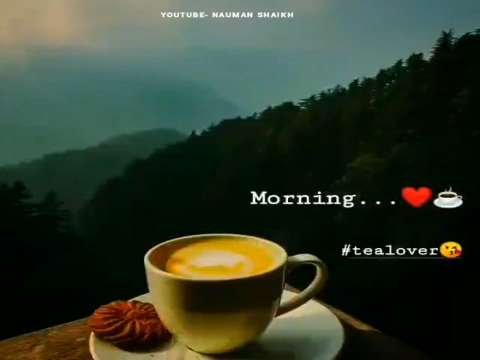 Good Morning Status |Morning HD whatsapp Status | morning status |good night status |night status