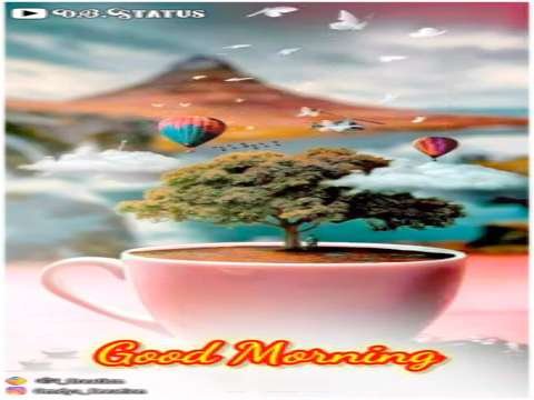 Good morning whatsapp status | good morning status | tea lover whatsapp status | good night status