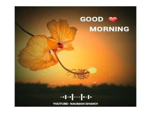 Good Morning Status |Morning HD whatsapp Status | morning status |good night status |night status