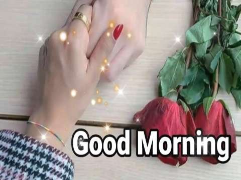Good Morning Status |Morning HD whatsapp Status | morning status |good night status |night status