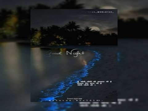 New Bhigi Bhigi Si Song Whatsapp Status | Instagram Status | Good Night Status | Midnight Song