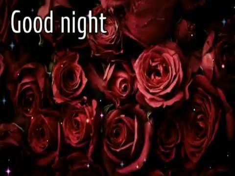 Good night status video | good night video songs | good night WhatsApp video | latest WhatsApp video