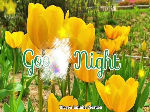 Good Night Status 2020 | Beautiful Flowers | Whatsapp Status Video | Good Night Wishes