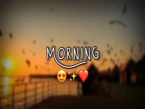 Morning Status | Good morning Status Video | Morning Status Video | Morning Whatsapp Status