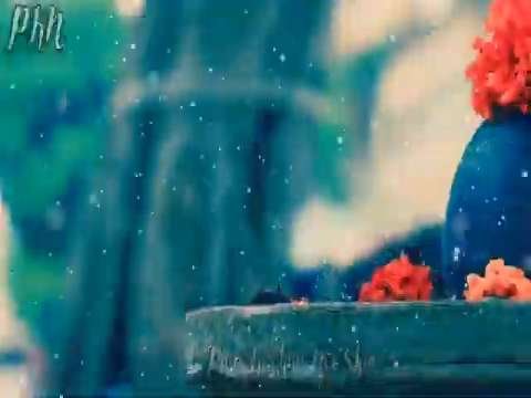 Lord Shiva Whatsapp Status | Shiv Whatsapp Status Video | Mahadev Whatsapp Status | Teri Jay Jay Kre | Jay Bhole Jay Bhandari |