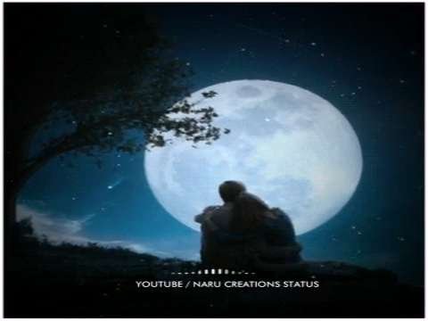 good night status | good night whatsapp status | sweet good night status | good night status 2020