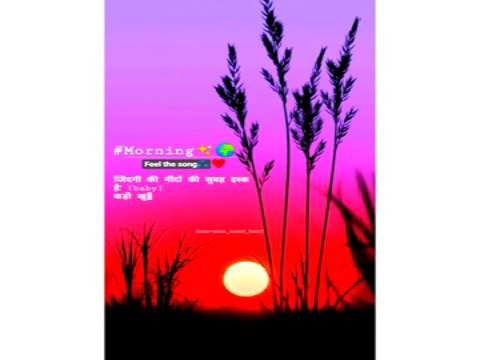 Good morning whatsapp status | good morning status | tea lover whatsapp status | good night status